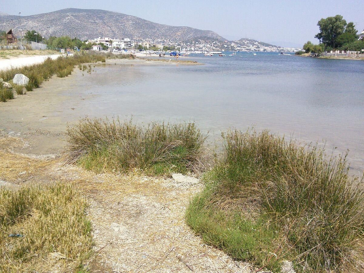 Φωτογραφικό Υλικό image_142.jpg