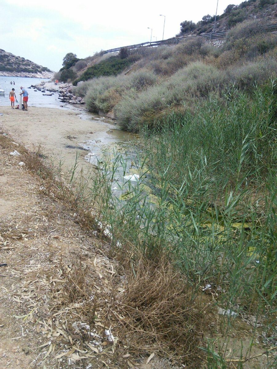 Φωτογραφικό Υλικό image_161.jpg